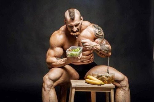 muscle-gain-diet